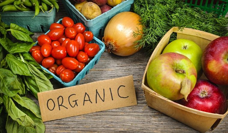Organic - Thực phẩm hữu cơ