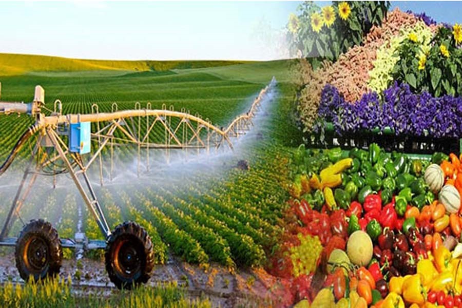 Những thuận lợi và thách thức của nông nghiệp hữu cơ